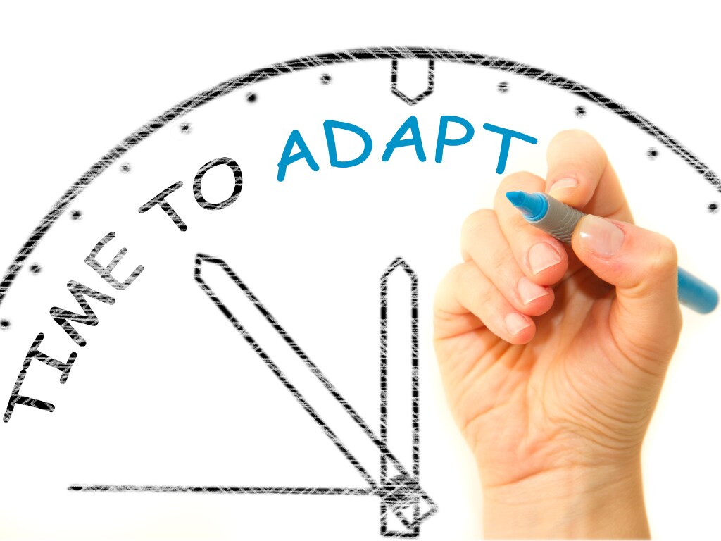 Marketing Sieciowy - Elastyczność czasowa